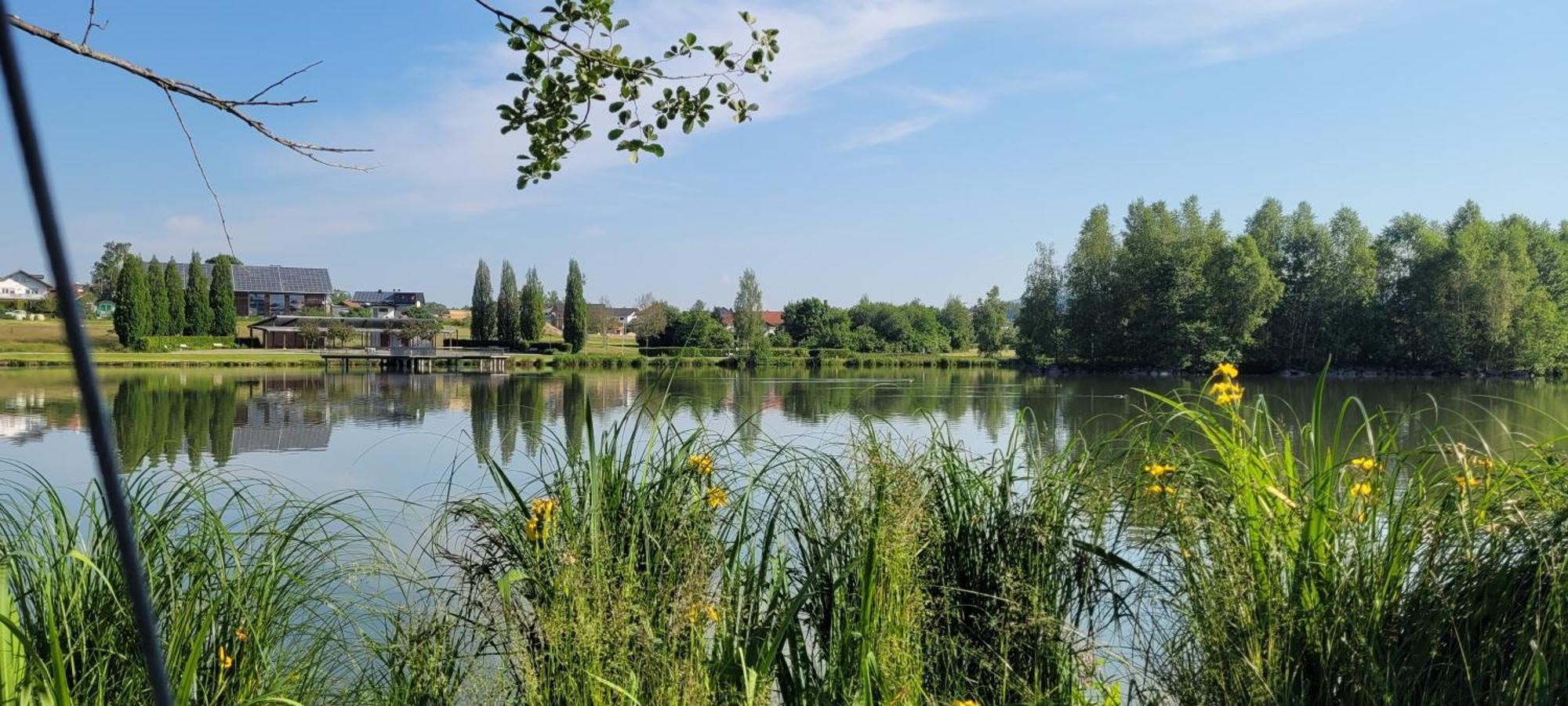 Ferienwohnung Bayerwaldblick Jandelsbrunn Екстериор снимка