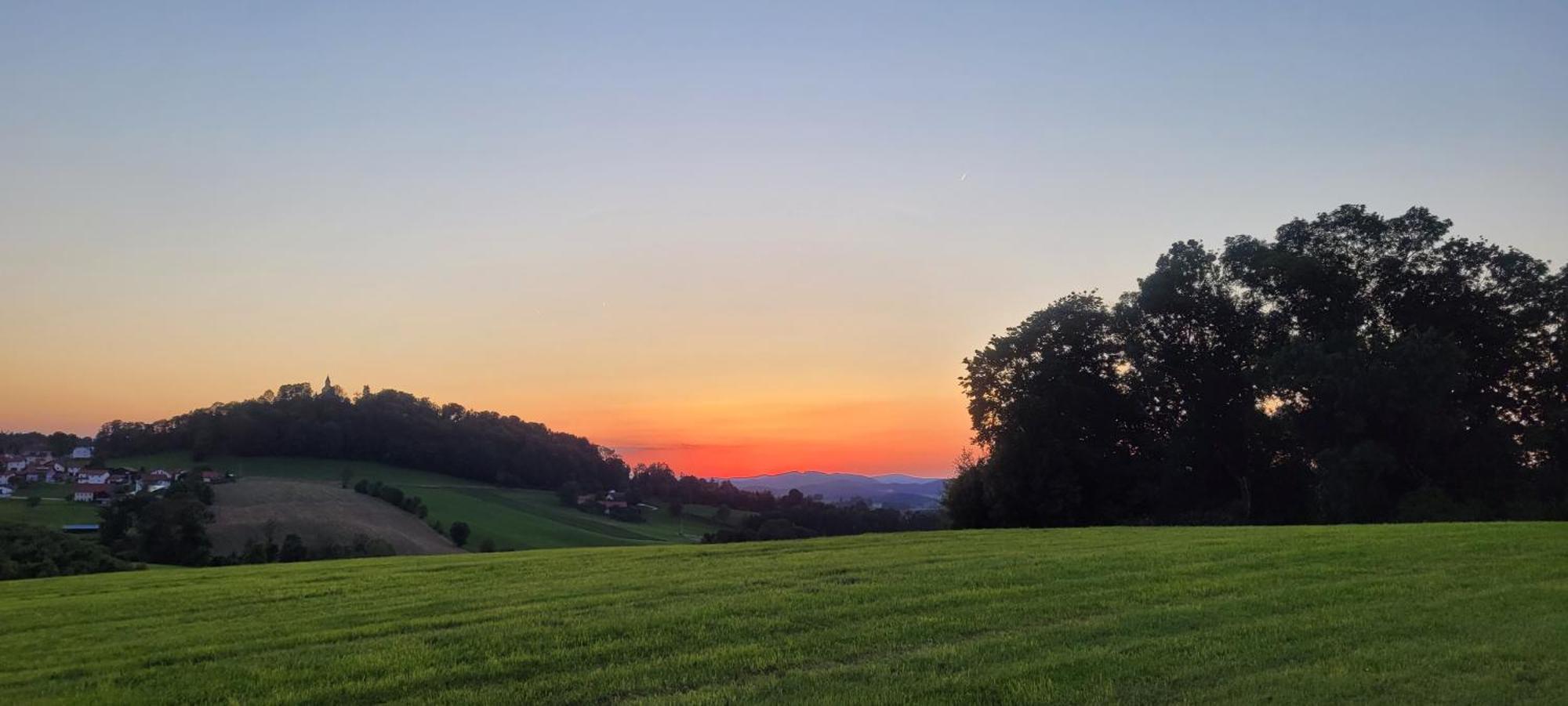 Ferienwohnung Bayerwaldblick Jandelsbrunn Екстериор снимка