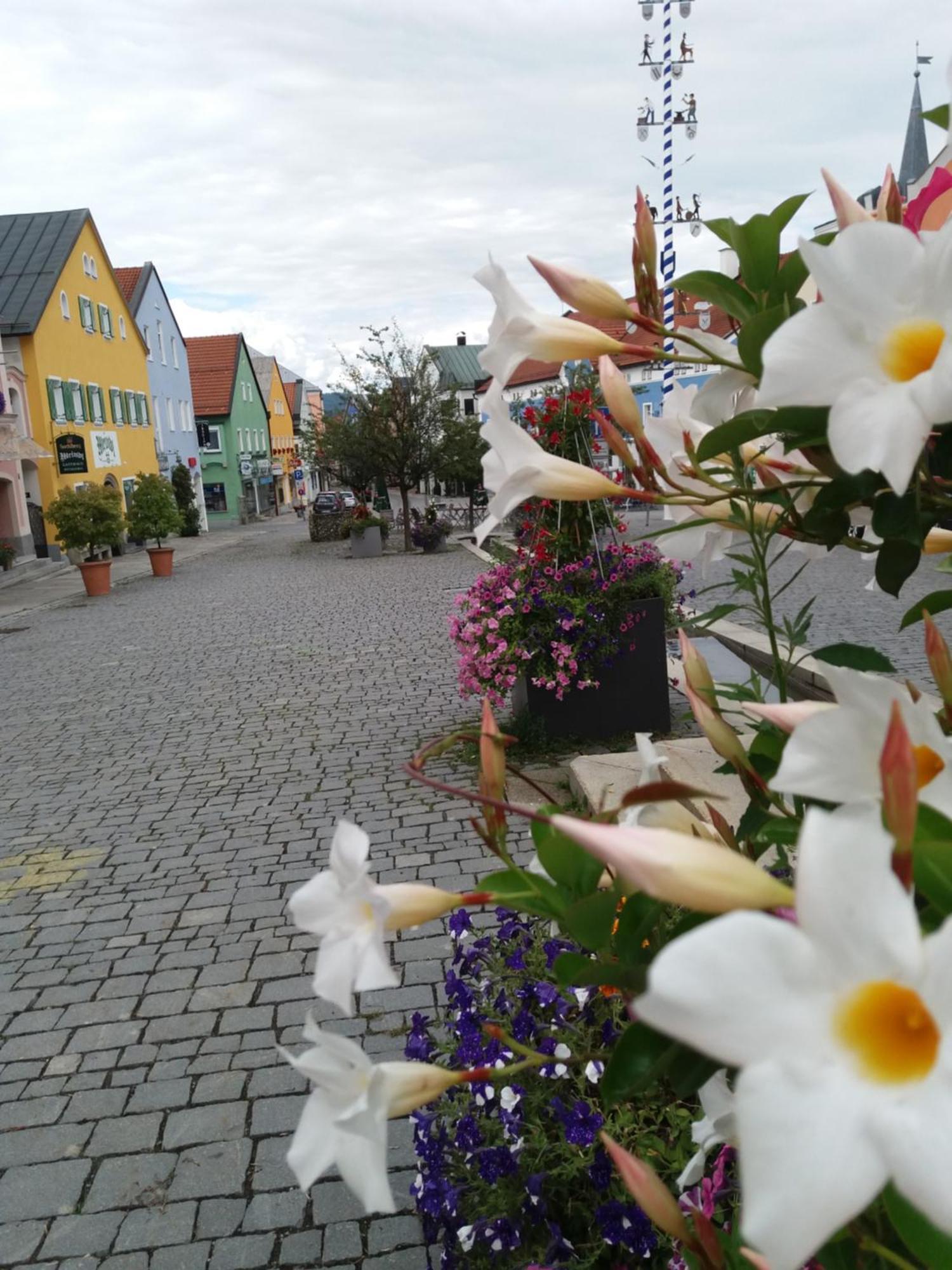 Ferienwohnung Bayerwaldblick Jandelsbrunn Екстериор снимка