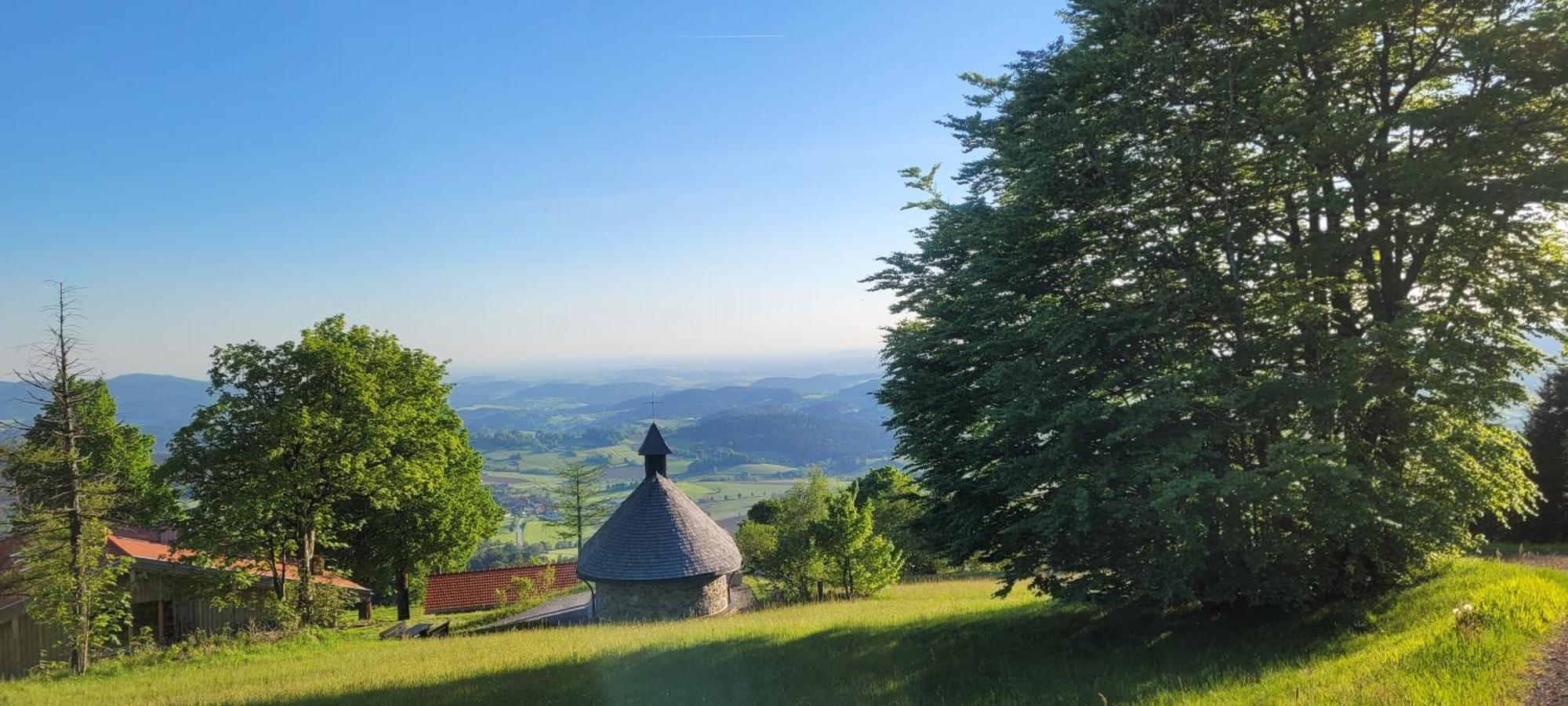 Ferienwohnung Bayerwaldblick Jandelsbrunn Екстериор снимка
