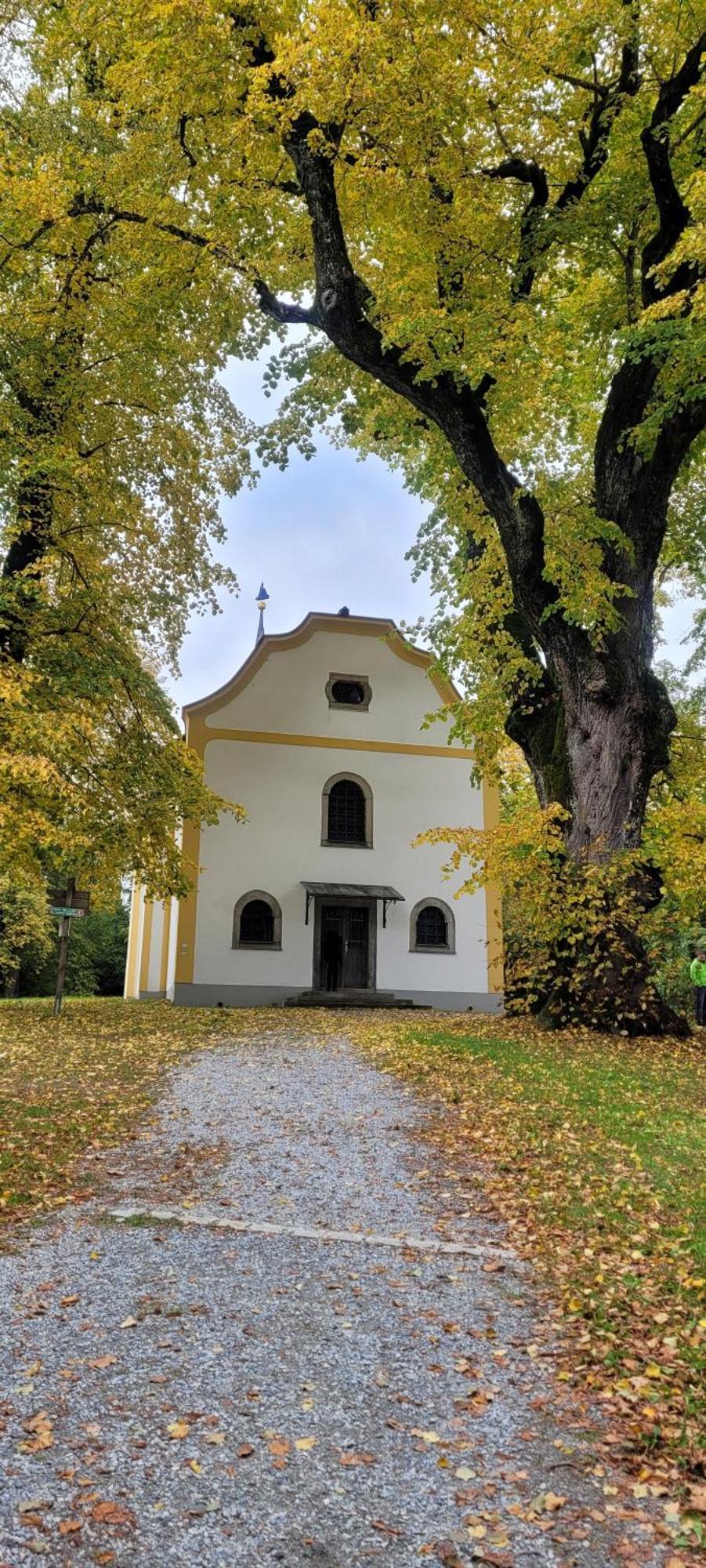 Ferienwohnung Bayerwaldblick Jandelsbrunn Екстериор снимка