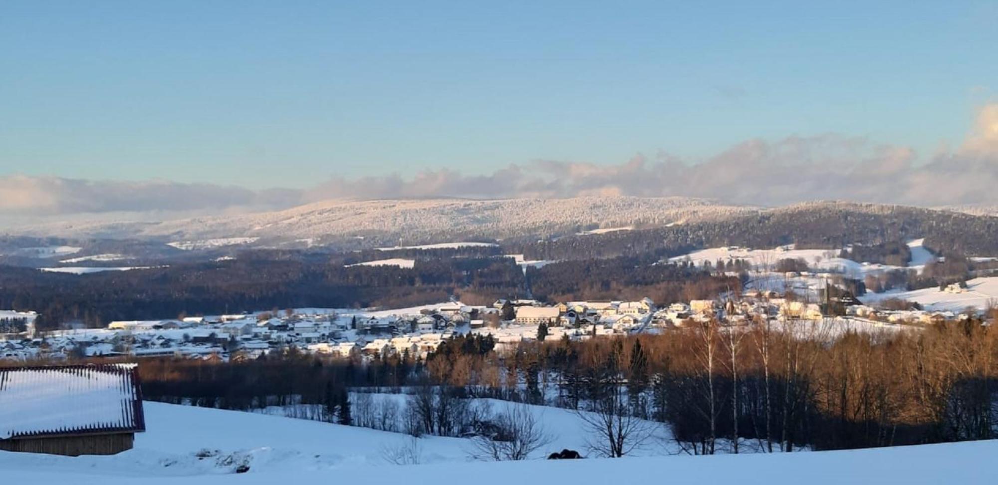 Ferienwohnung Bayerwaldblick Jandelsbrunn Екстериор снимка
