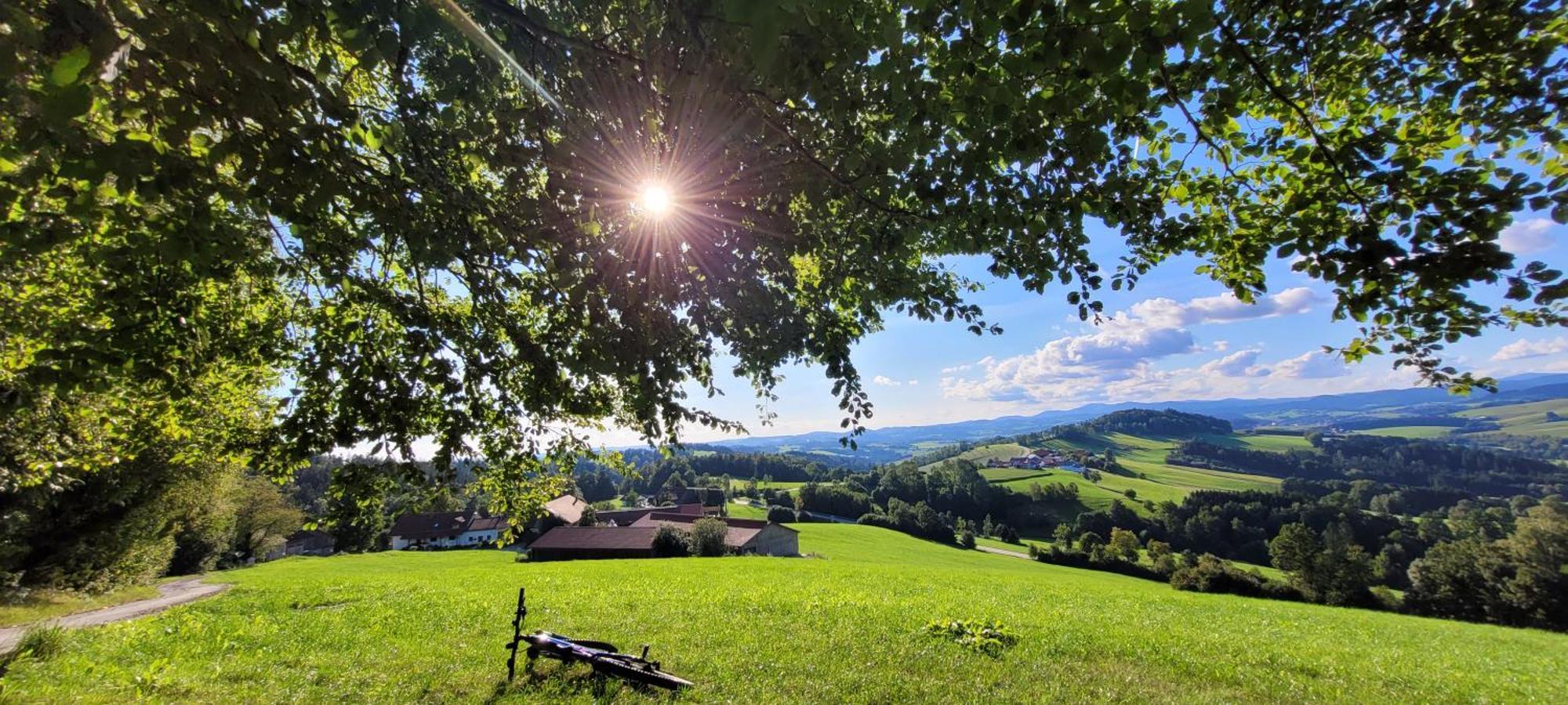 Ferienwohnung Bayerwaldblick Jandelsbrunn Екстериор снимка
