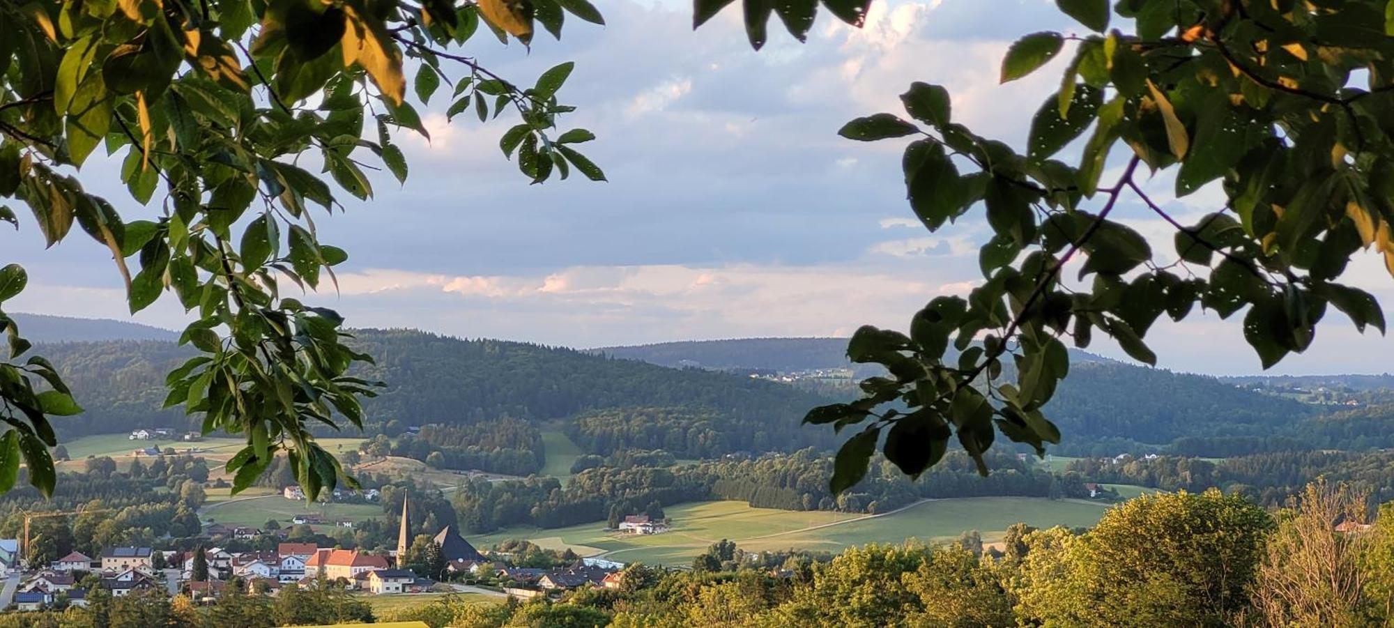 Ferienwohnung Bayerwaldblick Jandelsbrunn Екстериор снимка