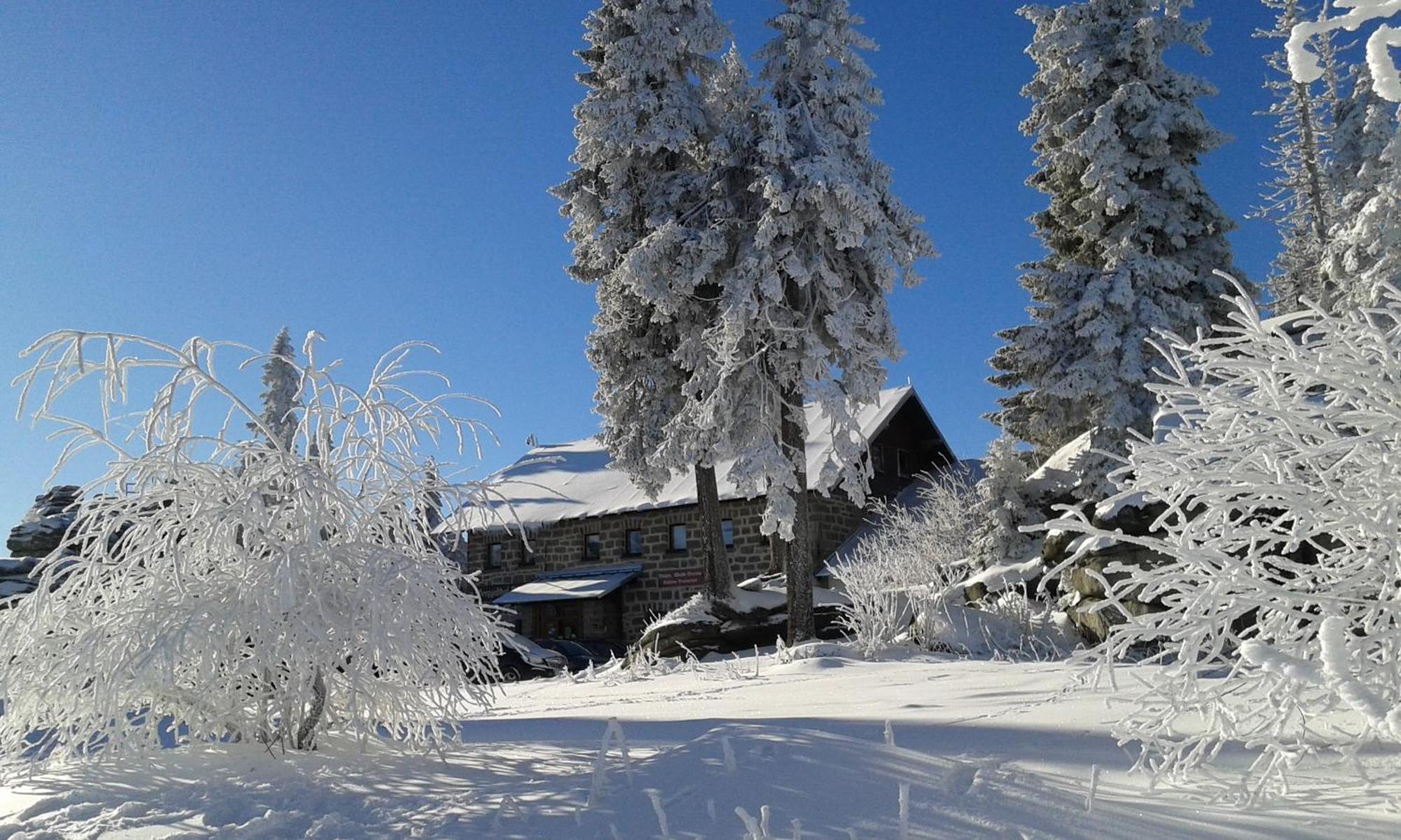 Ferienwohnung Bayerwaldblick Jandelsbrunn Екстериор снимка