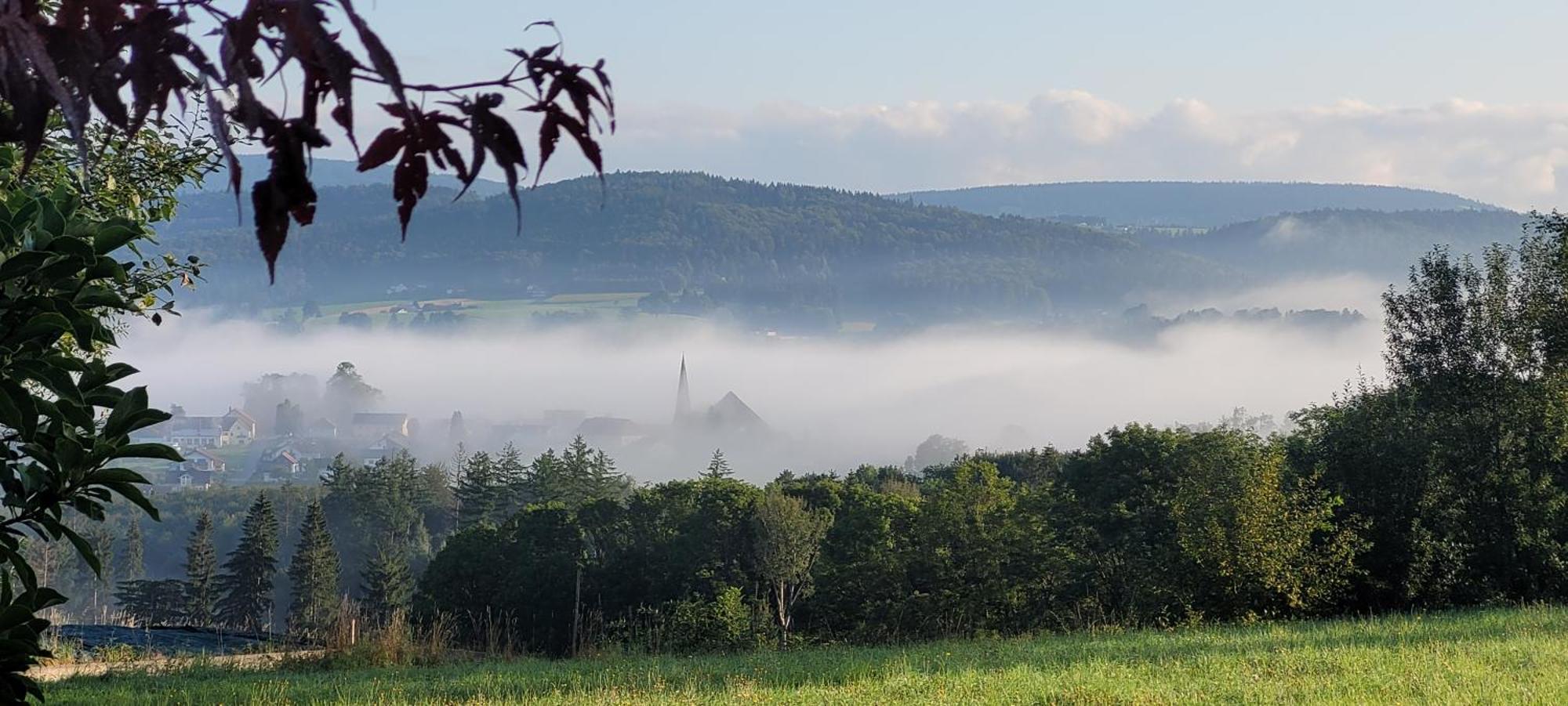 Ferienwohnung Bayerwaldblick Jandelsbrunn Екстериор снимка